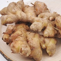 산지직송 충남 서산 전영운님의 햇 토종생강 10kg, 단품없음