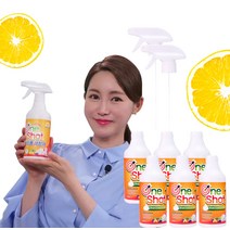 [애드크로스 홈쇼핑]매직 원샷 폼 크리너 오븐 가스레인지 후드필터 찌든때 제거 주방 청소 세제 세정제, 본품(SET)