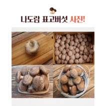 무농약 나도람 표고버섯, 1개, 1kg