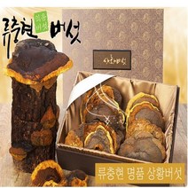 류충현약용버섯 명품 상황버섯 목질진흙버섯 원물 무농약 친환경인증 효능 상황버섯차 상황버섯주 선물용 선물세트 국내산, 2개, 300g