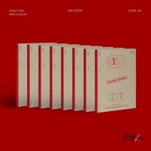 스트레이키즈 앨범 MAXIDENT Stray Kids CASE 맥시던트 케이스버전, 승민