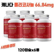 원데이코어 캐나다 폴리코사놀 66.84mg 120캡슐 6통 신세계백화점 1만원상품권 수량별증정