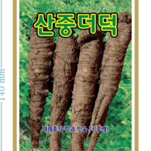 (씨앗) 산중더덕 3g 종자 더덕씨 KS종묘 채소재배, 1개