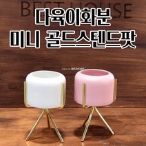 다육이 선인장용 골드 스탠드 화분 8X6CM 북유럽풍소품 풍성한트리 성의있는선물, 화이트