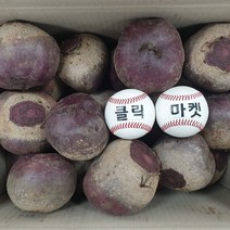 클릭마켓 제주비트 빨간무 레드비트 5kg 10kg ABC쥬스 비트즙 비트차 비트가루 용, 10kg x 1box