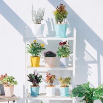 서후네 모던 디자인 다각형 인테리어 화분 실내조경 장식, 1개, 핑크