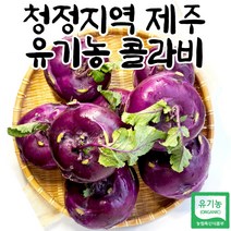 유기농 무농약 제주 콜라비 친환경 제주도콜라비 제주산콜라비 3kg 5kg 10kg