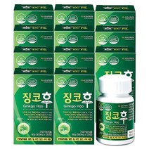 상상 징코후 기억력 개선 은행잎추출물 혈행개선, 12통, 500mg