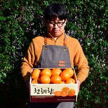 제주 프리미엄 천혜향 가정용 선물용 3kg 5kg 10kg, 1개