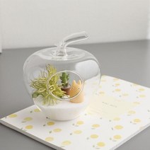 아트박스/글라스코 사과 모양 유리 행잉볼, 본품