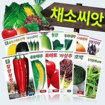 다농 채소 씨앗모음전 - 열매채소 뿌리채소 잎채소 쌈채소 고추 토마토 배추 무 상추 갓 파 부추 호박 가지 딸기 오이 멜론 여주 수세미 박 씨앗 종자, AN17=루꼴라씨앗12g!