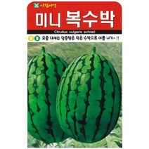요즘 대세는 앙증맞은 작은 수박으로 여름 나기 미니 복수박 씨앗 5립
