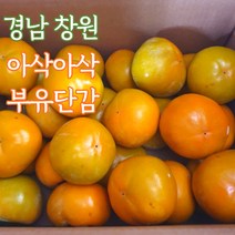 경남 창원 단감 감 부유단감 5kg 소과 중과 대과, 창원부유단감_5kg_중