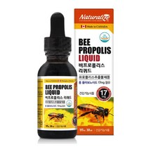 캐나다 비프로폴리스 리퀴드 30ml 력강화 PROPOLIS