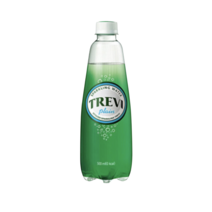 트레비 롯데칠성 플레인 탄산수, 18개, 500ml
