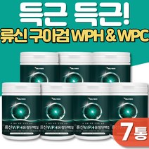 유청단백질분말 WPC보충제 여성단백질보충제 복근만들기 구아검 WPC프로틴 WPH 단백질 쉐이크 분말 가루