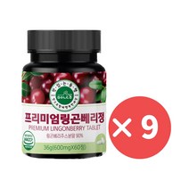 맛있는동행 링곤베리 퓨레 주스 링곤베리퓨레, 9개