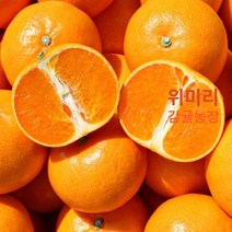 위미리감귤농장 제주 천혜향 선물세트 가정용 5kg 4kg 3kg 2kg, 노지천혜향 가정용2kg(10전후)