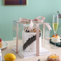 2단 케이크 투명 선물 포장 박스 상자 케이스 5개 1세트 미니 1호 2호 3호, B + 12인치 2단 36x36x26