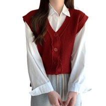 데이홀릭 이브 비비드 단추 니트조끼
