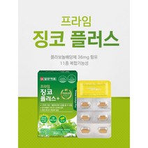 일양약품 프라임 징코 플러스 30정 10박스 10개월분 은행잎추출물, 1000개, 60정(2개월) x 1개