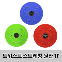 트위스트 스트레칭 원판