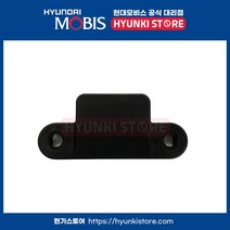 현대모비스 범퍼테일 게이트사이드 가이드 (817383J000)