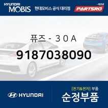 퓨즈-３０Ａ (9187038090) 현대모비스 부품몰 그랜저XG 그랜저TG 쏘나타EF 아반떼XD 에쿠스 클릭