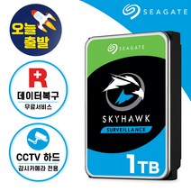 [ 씨게이트 공식스토어 ] 스카이호크 CCTV 하드디스크 감시카메라 CCTV용 HDD, 1TB (1테라바이트)