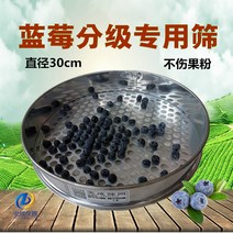 블루베리 수동 선별기 곡식 곡물 13가지 사이즈 10mm 15mm 20mm 등, B 10mm개