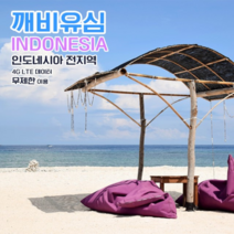 깨비유심 인도네시아 전지역 4G LTE 데이터 9일 이용 유심 출국전 불량 유심 확인 가능 (4362534), 김해 공항 수령