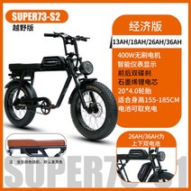 전기 팻바이크 파방모터 자전거 강아지 mtb 배달용 트렉 접이식 삼륜 2인용 출퇴근, 48V, 13AH, s2 1:1 / 리튬 그래핀 배터리
