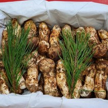 22년도 국산 자연산송이버섯 추석선물 참송이버섯 능이 1kg 500g 송이벌꿀, 자연산 능이버섯 특품 1kg (냉동)