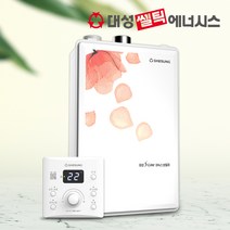 대성쎌틱 도시가스보일러 2종 일반 친환경 DNB-13S 16S 20S 25S 보일러 기본현장 추가비없음, 2.대성쎌틱보일러DNB_16S