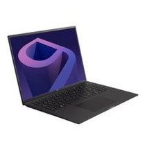 LG전자 2022 그램 16 + 무선 마우스, 옵시디안 블랙, 16ZD95P-GX7LK, 코어i7 11세대, 256GB, 16GB, Free DOS