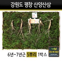 산양삼 선물세트 강원도 평창 야생삼 장뇌삼 7년근 10년근 동인발효삼 선물용 효도선물, 1set