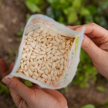 셋째딸농부 쌀튀밥 뻥튀기 유기농쌀 국내산 뻥과자, 1봉, 80g