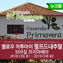 브라질 프리마베라 옐로우 카투아이 펄프드 내추럴 커피 생두 직수입 Primavera, 1kg, 1개