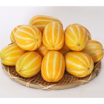 성주 참외 가정용 5Kg 아삭 꿀 참외 신선도 관리철저 산지직송, 주문2 가정용참외 대과 5kg