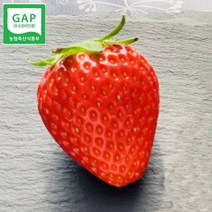 금실딸기 논산딸기 생딸기 딸기금실 800g, 금실_특, 1개