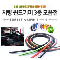 어썸카 기아모닝풍절음방지 윈드키퍼3종 더SUV스포티지도어가드 도어키퍼 문콕방지 엑스트랙몰딩 대쉬보드소음방지 튜닝 벤츠 bmw 아우디 k7프리미어 펠리세이드 더뉴쏘렌토 그랜저 제네시스 재규어IPACE, 1개, 03. 문콕방지도어키퍼4M - 블루
