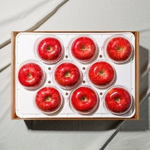 우리동네과수원 926일 오전 6시 결제건까지 명절전배송산지직송 명절 과일선물세트 사과 대과 9입 3.5kg (보자기 증정) -인증