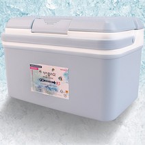 휴대용 소형 아이스박스 낚시 쿨러 백 미니 아이스 8L, 8.5L, 단일
