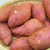 최고구마 지금수확중 23년 햇 밤고구마 3 5 10kg 팍팍한 밤고구마, 1개, 꿀밤고구마3kg(긴특상)
