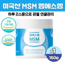 미국산 순수 엠에스엠 식이유황 분말 디메틸설폰 MSM 무릎 관절 영양제 MSN 가루 파우더 식약처인증, 160g, 1통