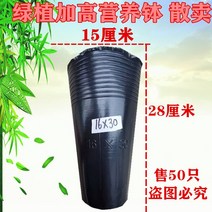 블랙 비닐 화분 모종 포트 분갈이 컵 비닐포트 육묘 묘목 원예 다육이 화훼 식물 대형 텃밭, 15. 16x30 250pcs