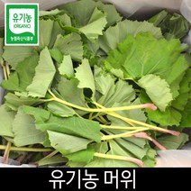 유기농 머위 1kg 당일수확 농가배송, 1개