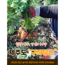 (도하네농장)국산 제주 구좌 당근 햇 흙 5kg 10kg 20kg 산지직송, (특) 요리용 (추천) 10kg