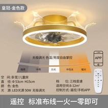 선풍기 조명 북유럽 샹들리에 식당 거실 마카롱 루씨 오아 천장 복층 에어라트론 안방 루시에어, 3