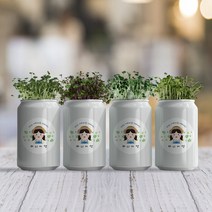퍼니어캔 아이와 함께 새싹 키우기 5종세트, 적양배추